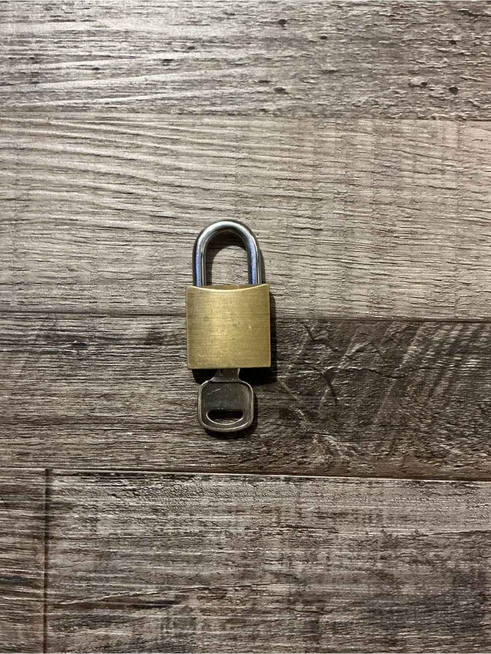 Dooney & Bourke Gold Tone Mini Padlock with Key - Picture 2 of 2